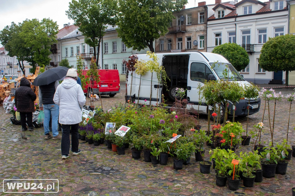 Pogoda zepsuła kwiatowy Festiwal w Pułtusku