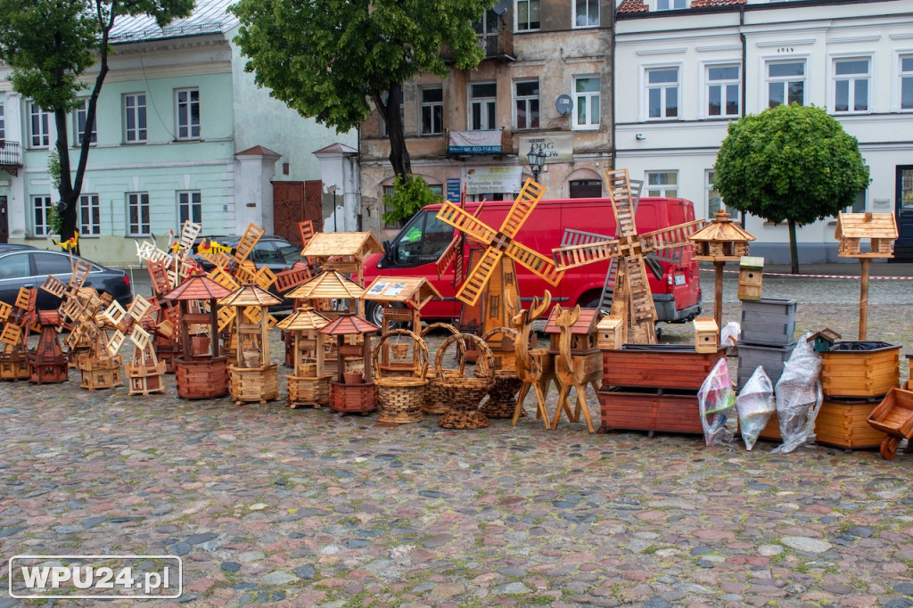 Pogoda zepsuła kwiatowy Festiwal w Pułtusku