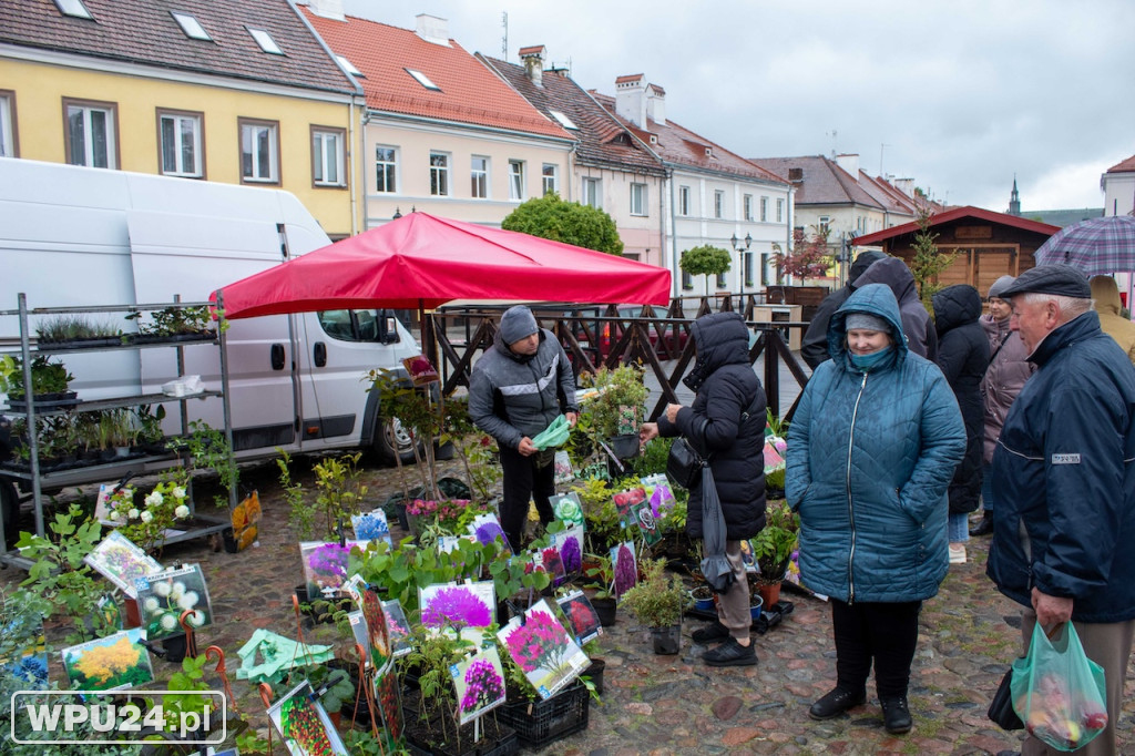 Pogoda zepsuła kwiatowy Festiwal w Pułtusku