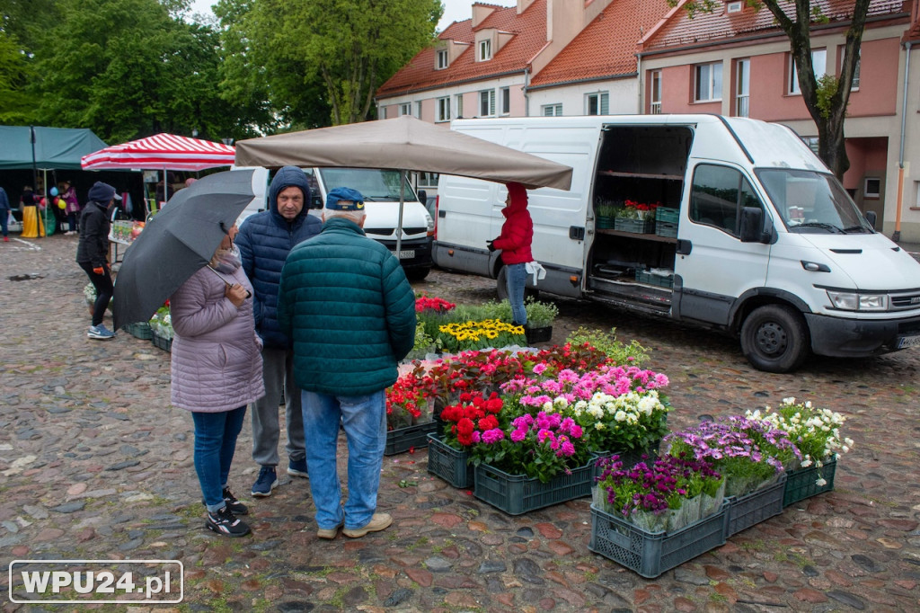 Pogoda zepsuła kwiatowy Festiwal w Pułtusku