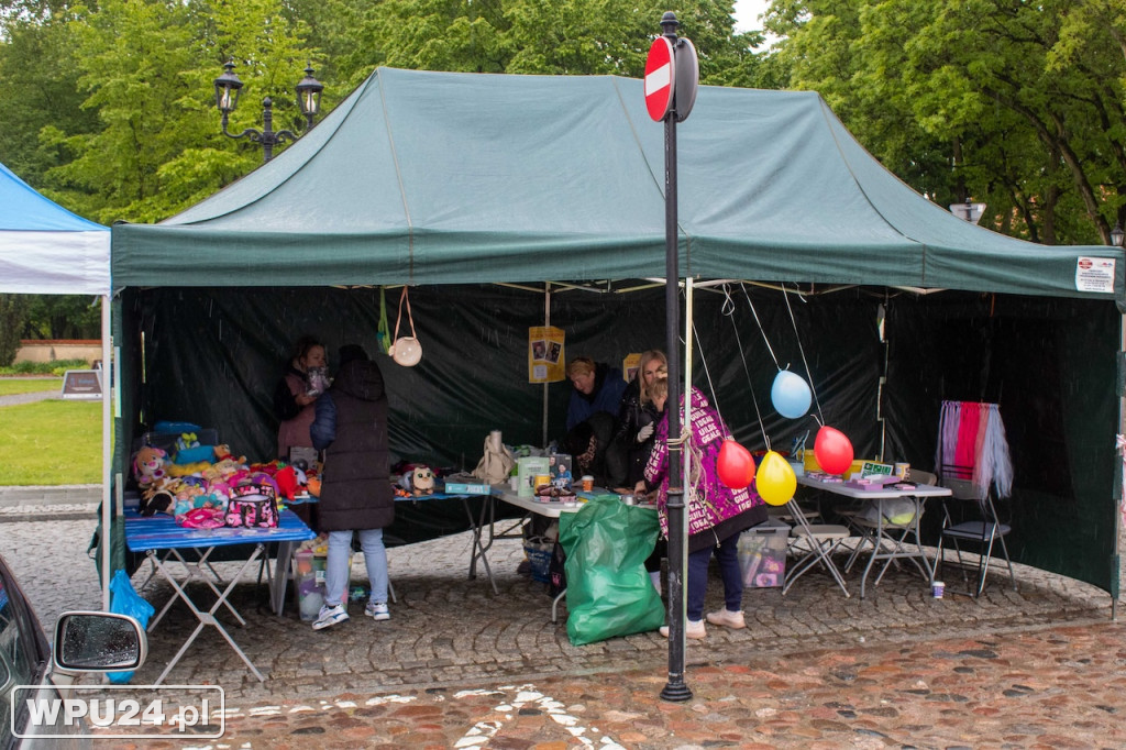 Pogoda zepsuła kwiatowy Festiwal w Pułtusku