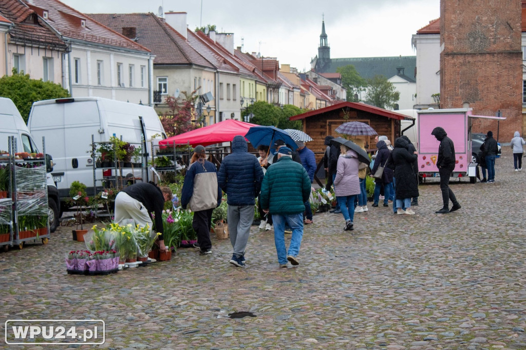 Pogoda zepsuła kwiatowy Festiwal w Pułtusku