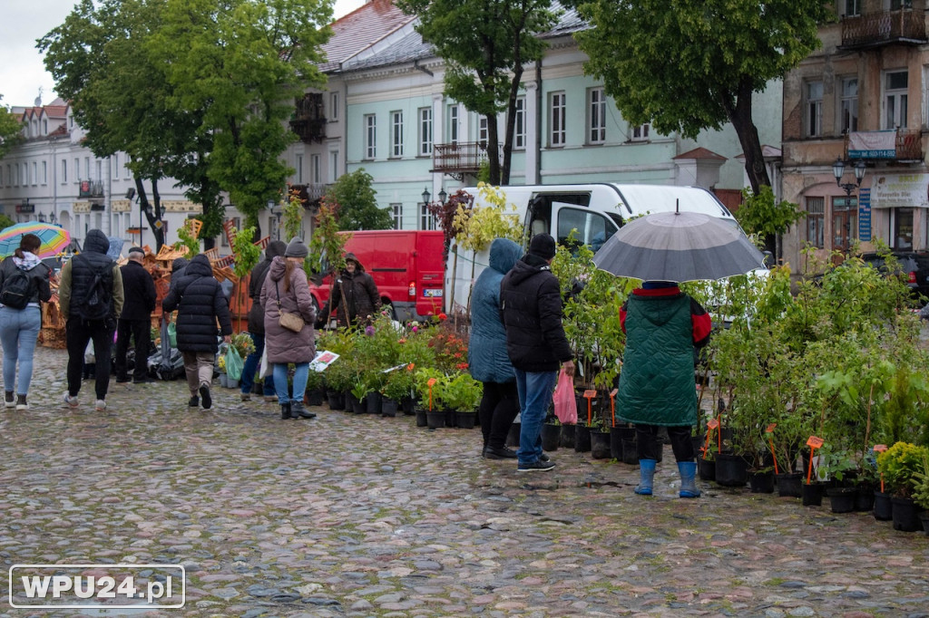 Pogoda zepsuła kwiatowy Festiwal w Pułtusku