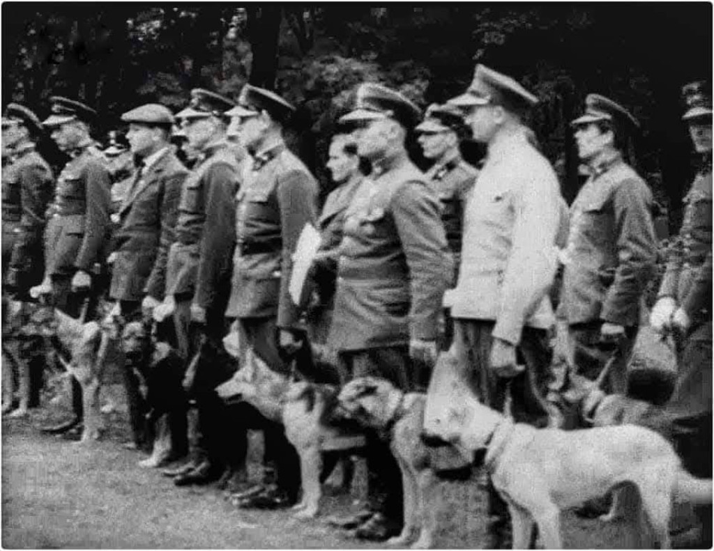 Kurs przewodników psów służbowych w 1937 r.