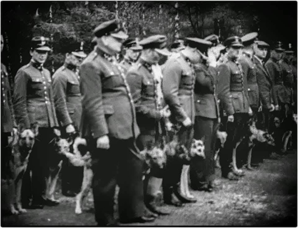 Kurs przewodników psów służbowych w 1937 r.