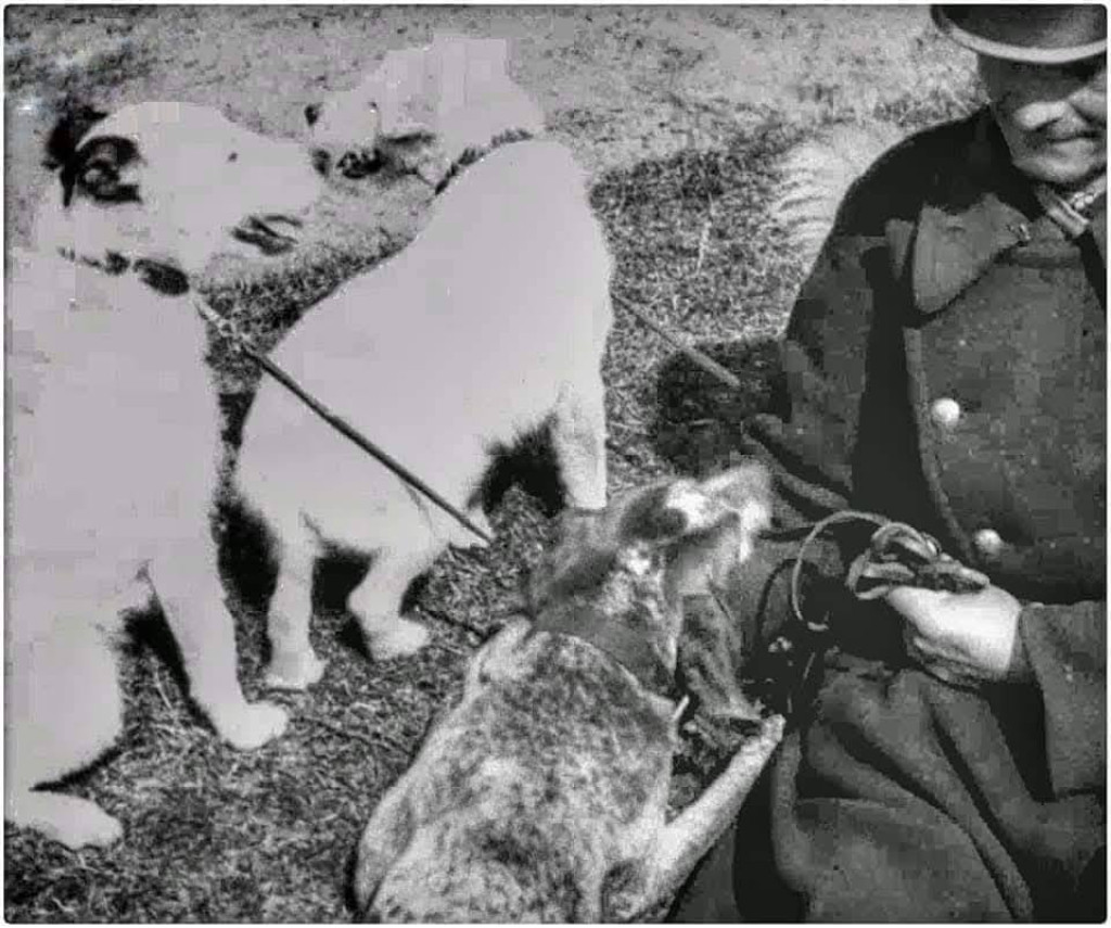 Kurs przewodników psów służbowych w 1937 r.