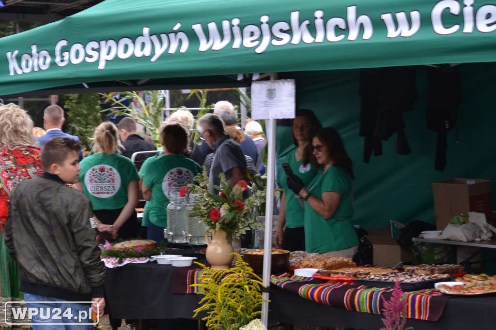 Dożynki 2025 w Pniewie – muzyka i wspólne święto
