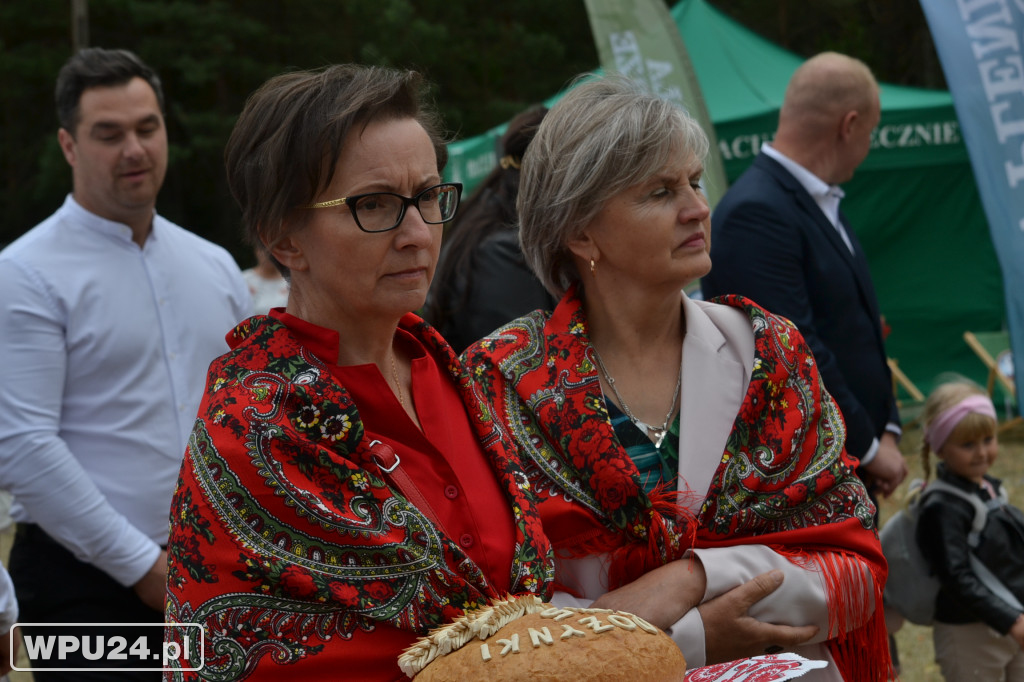 Dożynki 2025 w Pniewie – muzyka i wspólne święto