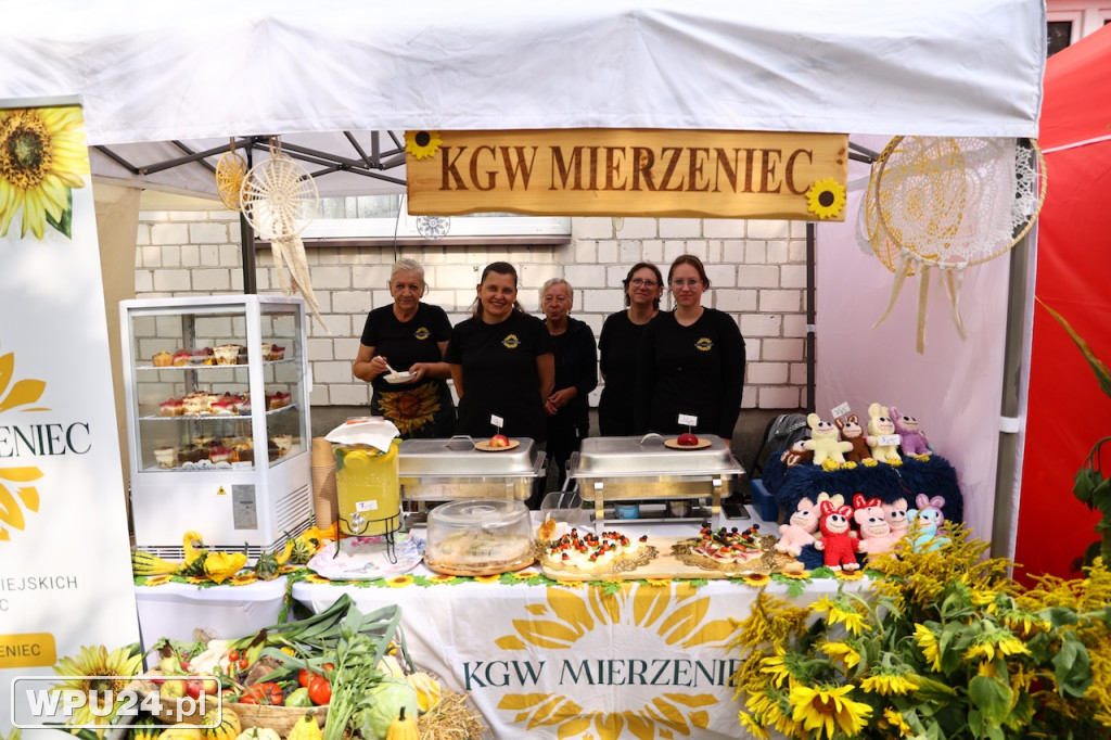 Dożynki Gminne 2025 w Gzach pełne atrakcji