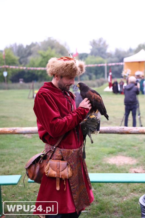 Dzień II Pikniku z Husarią