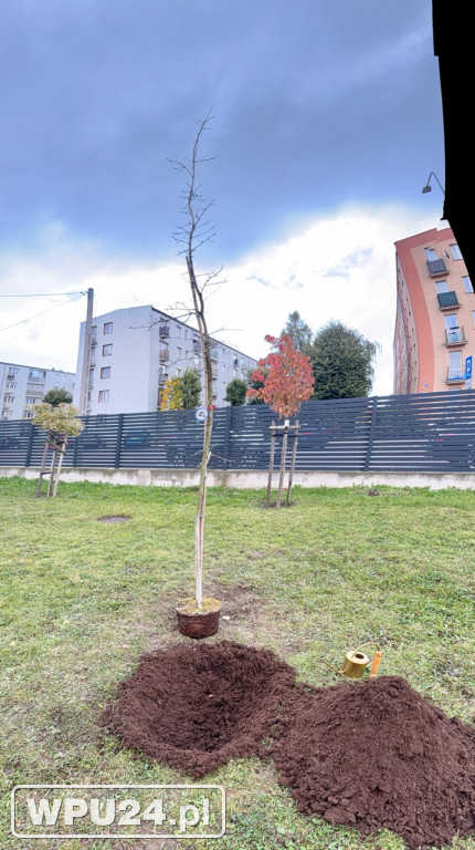 Pułtuska „Trójka” świętuje 80-lecie
