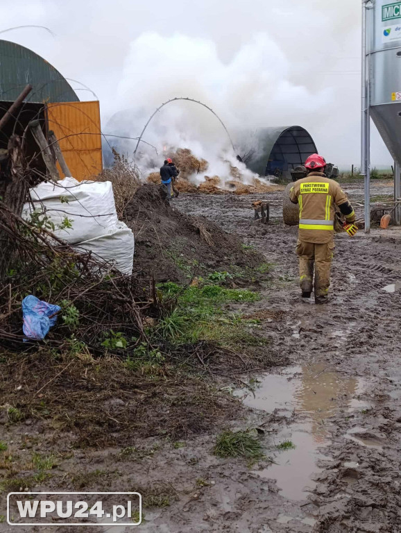 Strażacy z powiatu pułtuskiego walczyli całą dobę