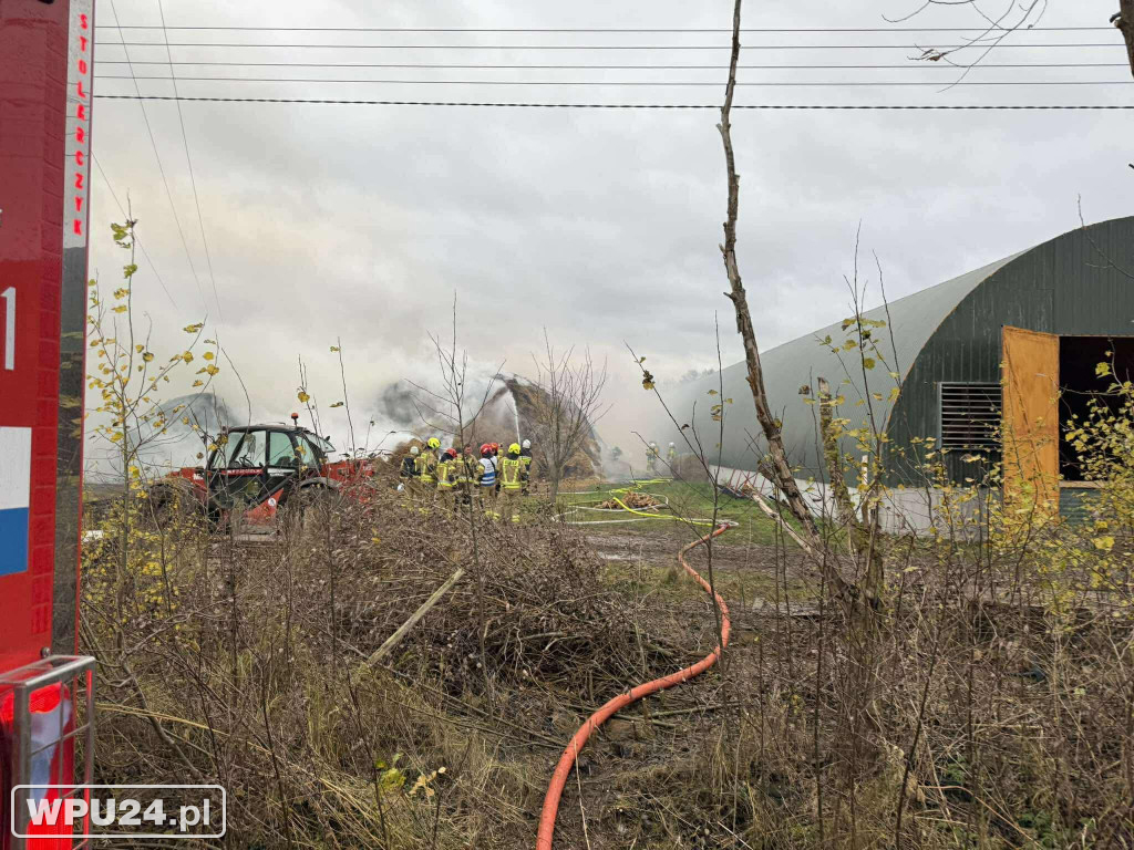 Strażacy z powiatu pułtuskiego walczyli całą dobę