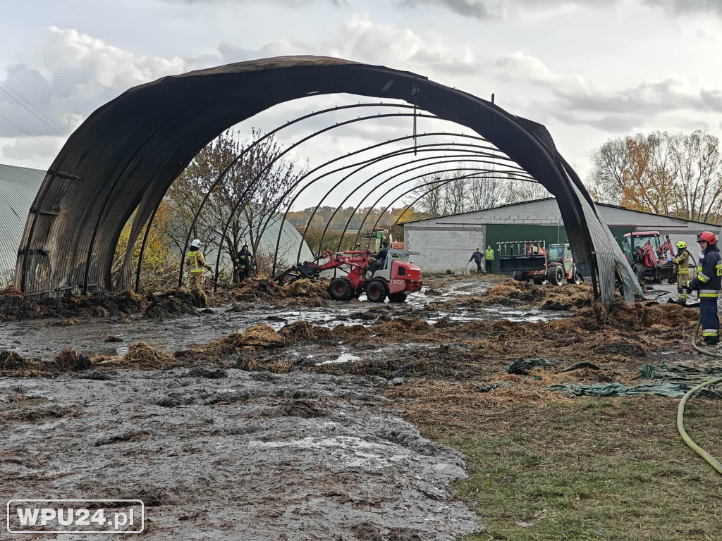 Strażacy z powiatu pułtuskiego walczyli całą dobę
