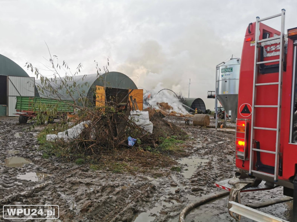 Strażacy z powiatu pułtuskiego walczyli całą dobę
