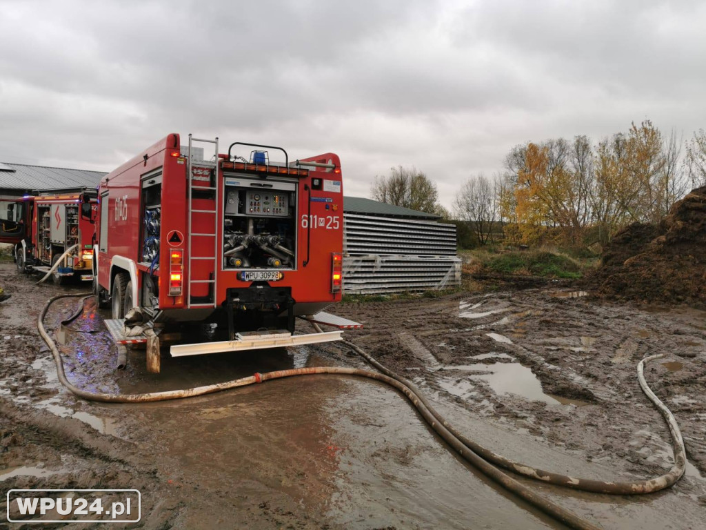Strażacy z powiatu pułtuskiego walczyli całą dobę