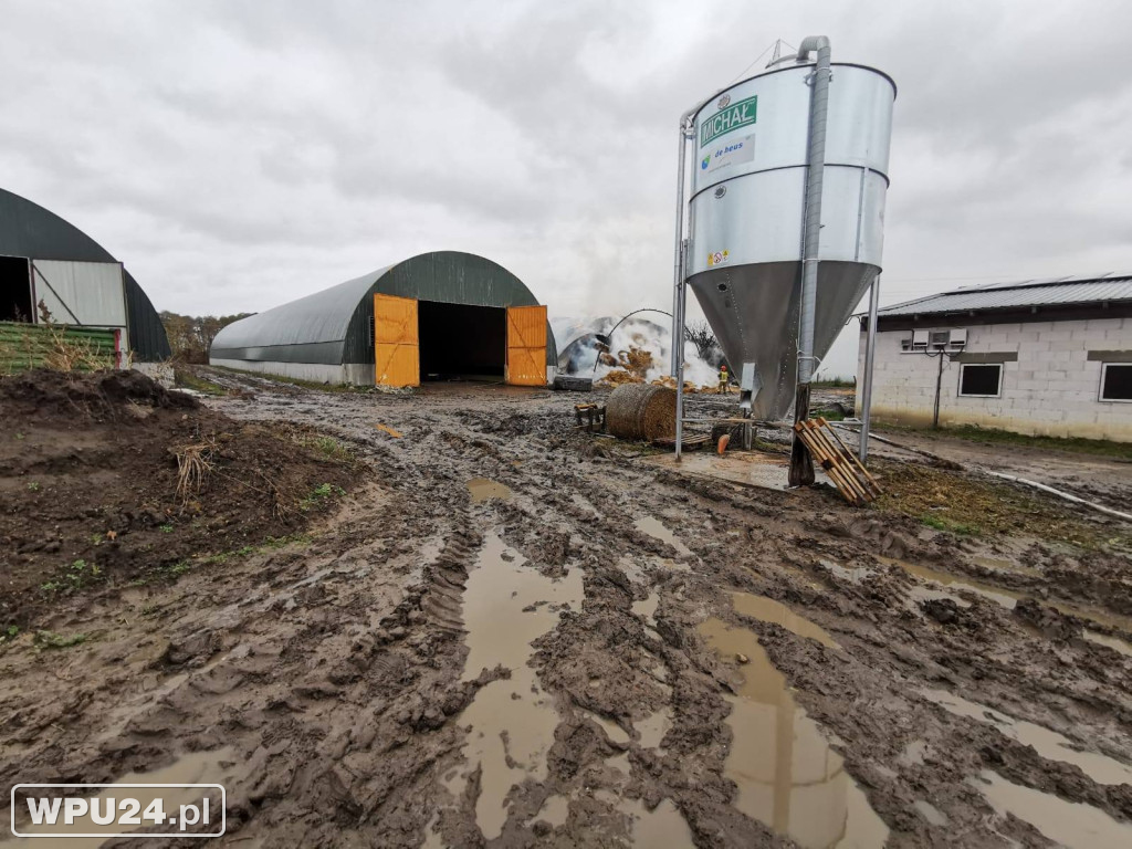 Strażacy z powiatu pułtuskiego walczyli całą dobę