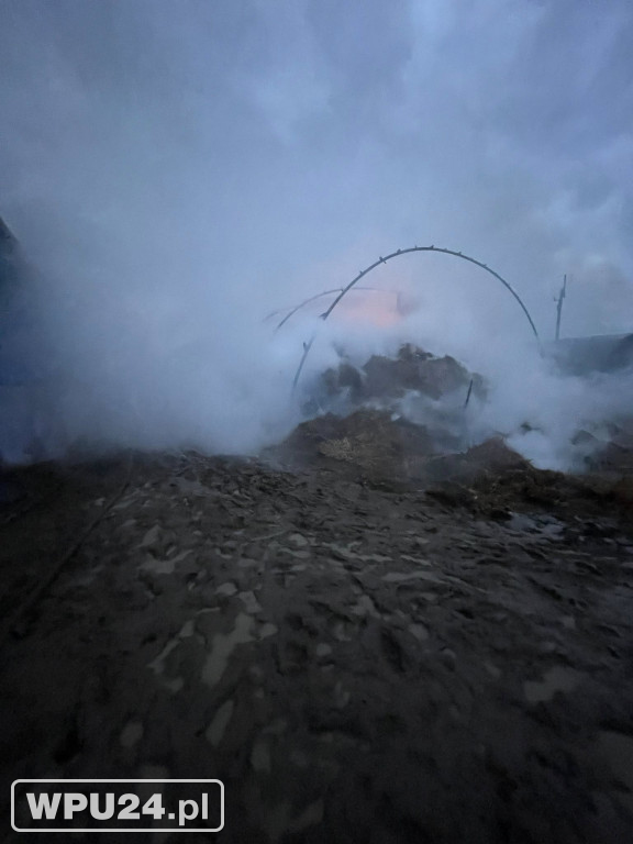 Strażacy z powiatu pułtuskiego walczyli całą dobę