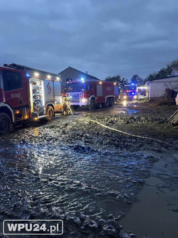 Strażacy z powiatu pułtuskiego walczyli całą dobę