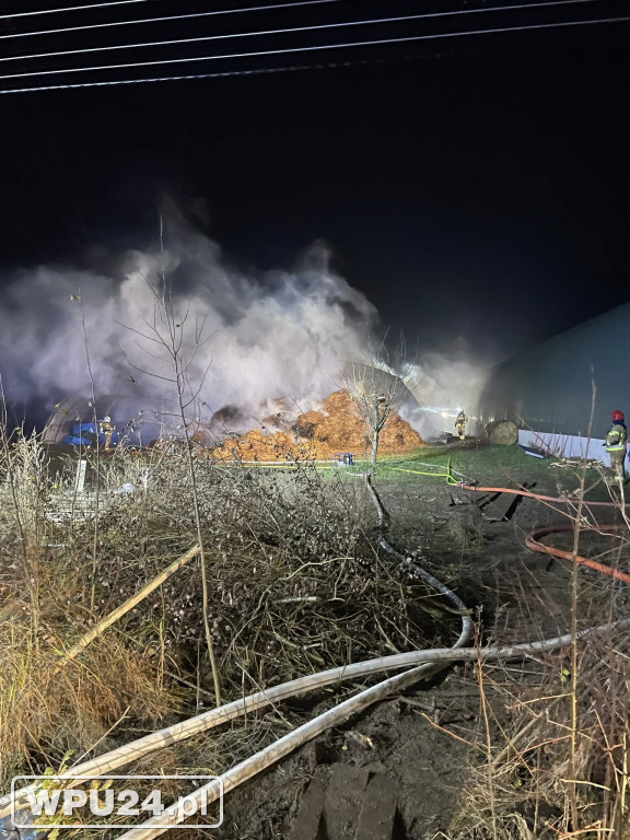 Strażacy z powiatu pułtuskiego walczyli całą dobę