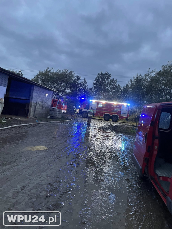 Strażacy z powiatu pułtuskiego walczyli całą dobę