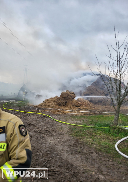 Strażacy z powiatu pułtuskiego walczyli całą dobę