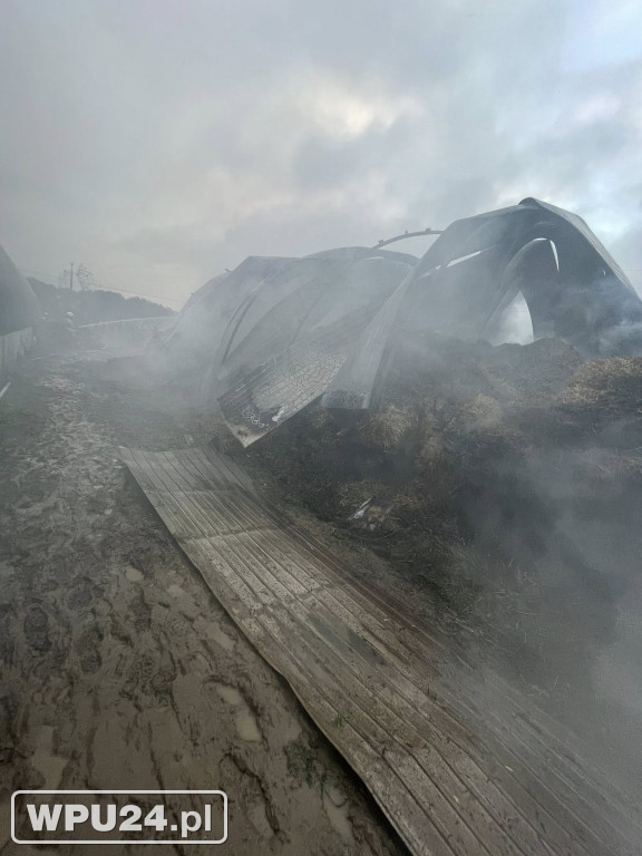 Strażacy z powiatu pułtuskiego walczyli całą dobę