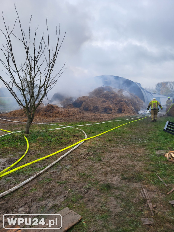 Strażacy z powiatu pułtuskiego walczyli całą dobę