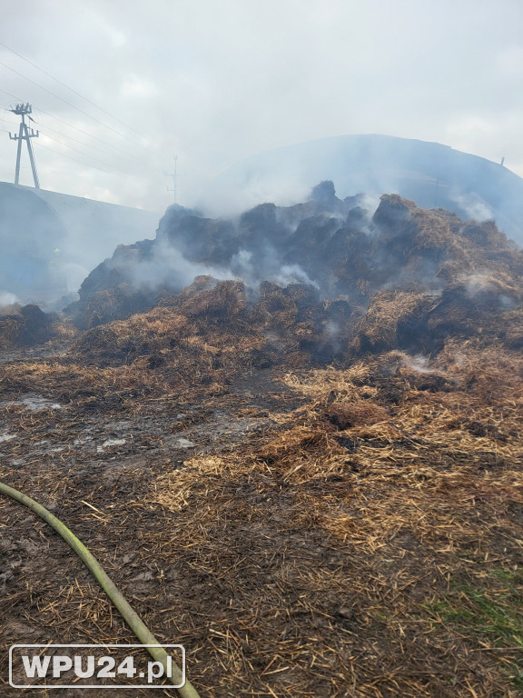 Strażacy z powiatu pułtuskiego walczyli całą dobę