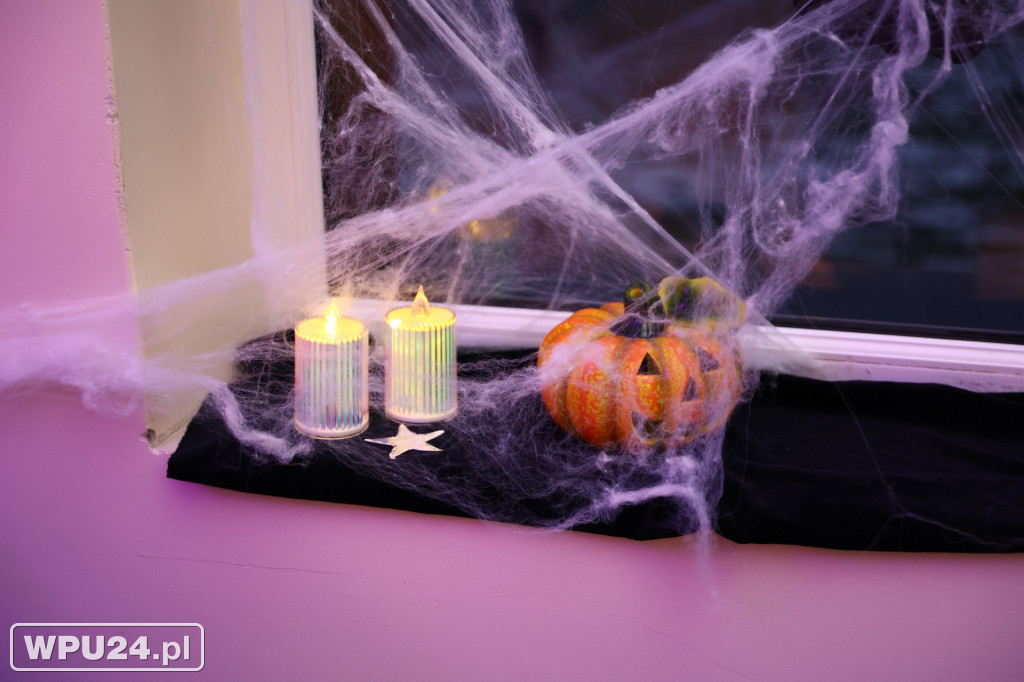 Bal Andrzejkowy 60+ w Pułtusku