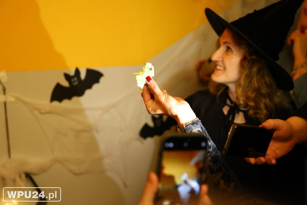 Bal Andrzejkowy 60+ w Pułtusku