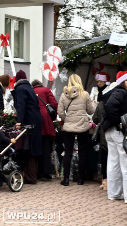 Grinich powstrzymany na Jarmarku w Zatorach