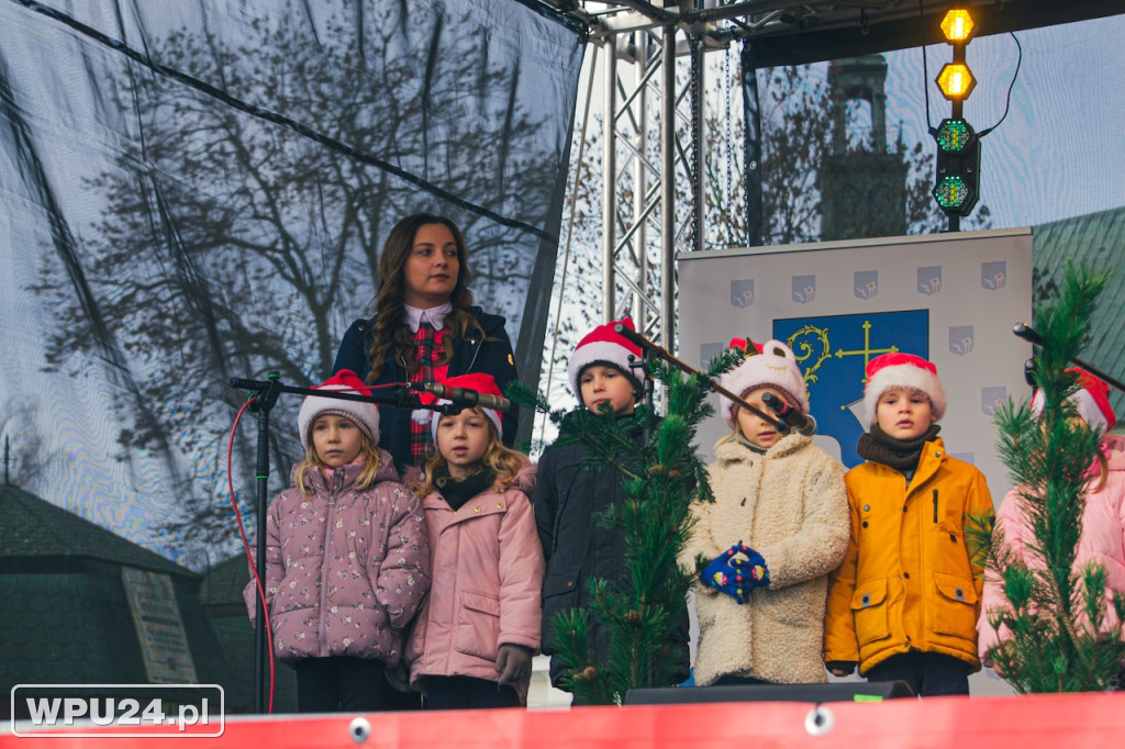 Święta w sercu miasta. Zobacz Wigilęi w Pułtusku