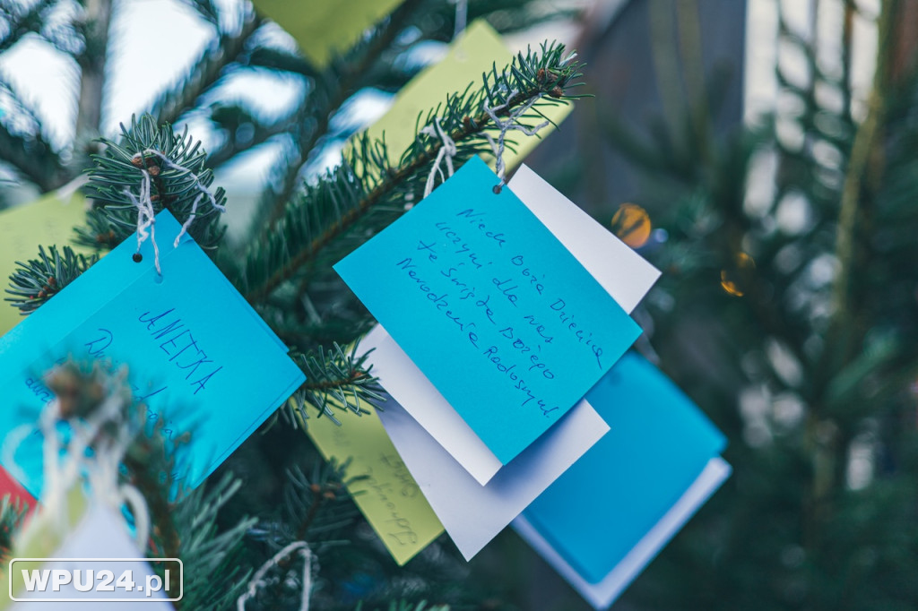 Święta w sercu miasta. Zobacz Wigilęi w Pułtusku