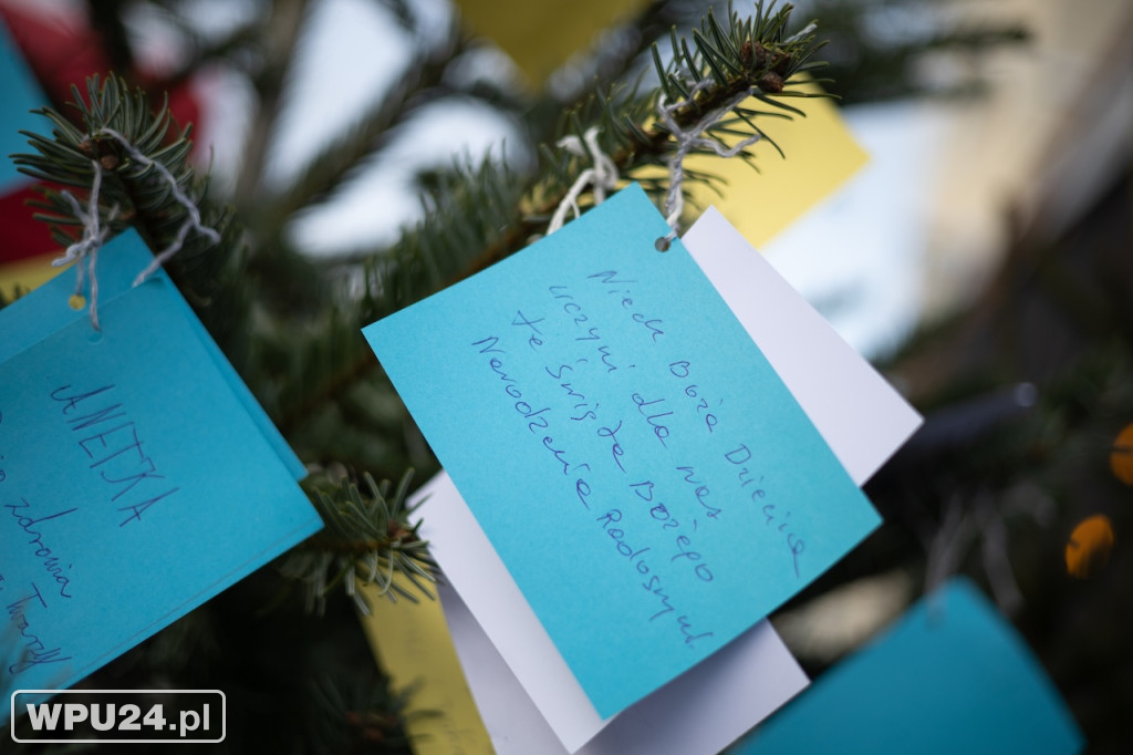 Święta w sercu miasta. Zobacz Wigilęi w Pułtusku