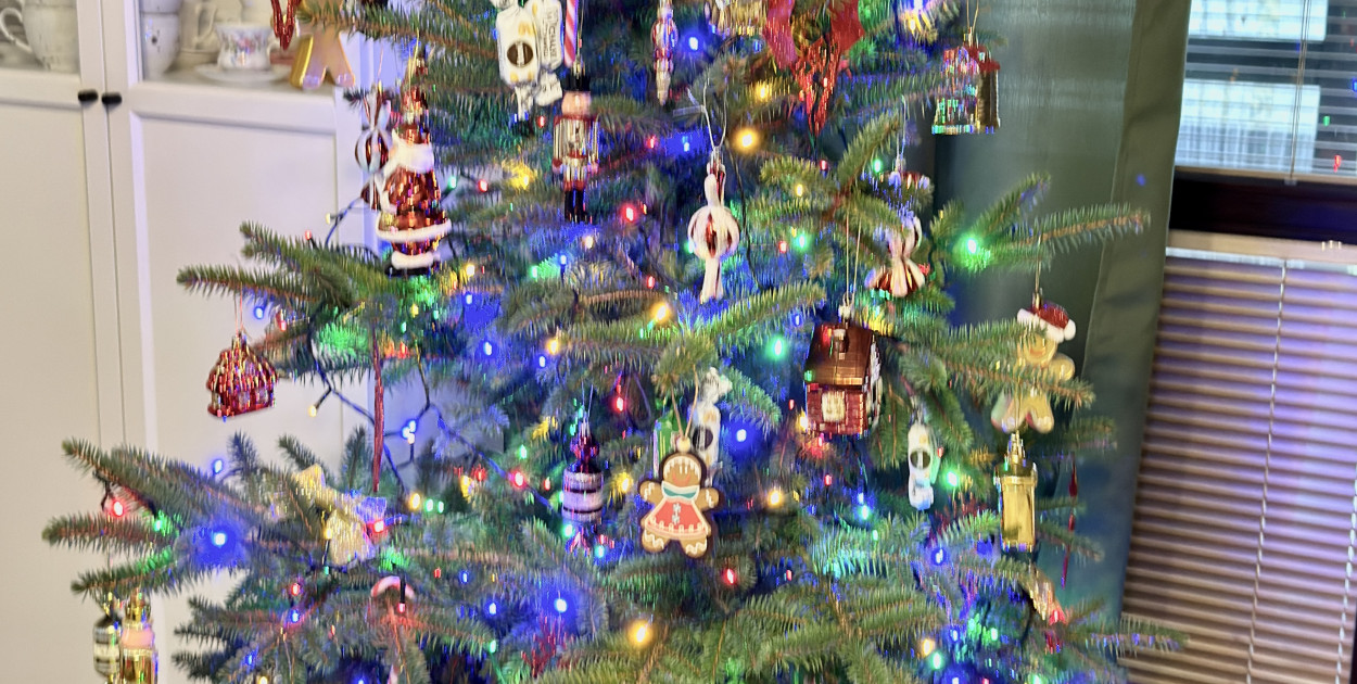 Pułtuskie choinki 2025