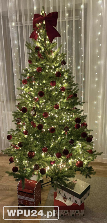 Pułtuskie choinki 2025