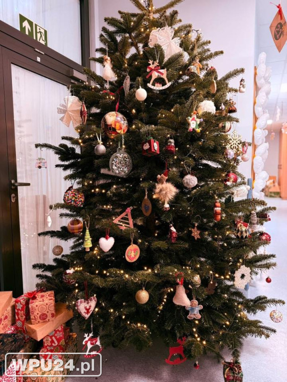 Pułtuskie choinki 2025