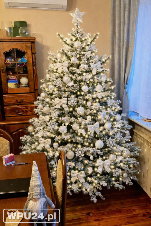 Pułtuskie choinki 2025