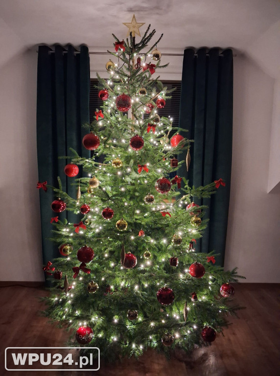 Pułtuskie choinki 2025