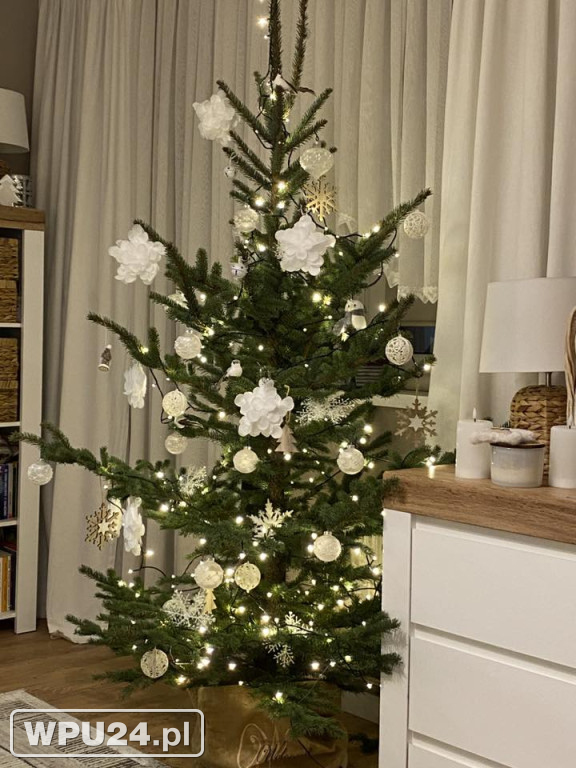 Pułtuskie choinki 2025