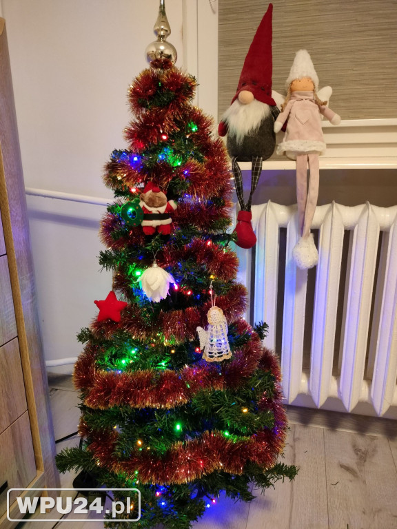 Pułtuskie choinki 2025