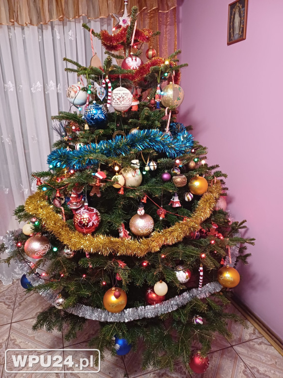 Pułtuskie choinki 2025