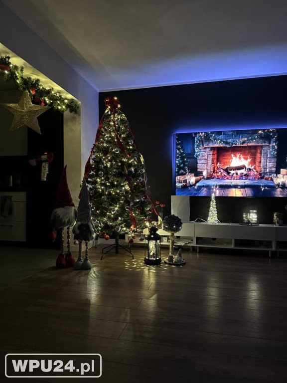 Pułtuskie choinki 2025