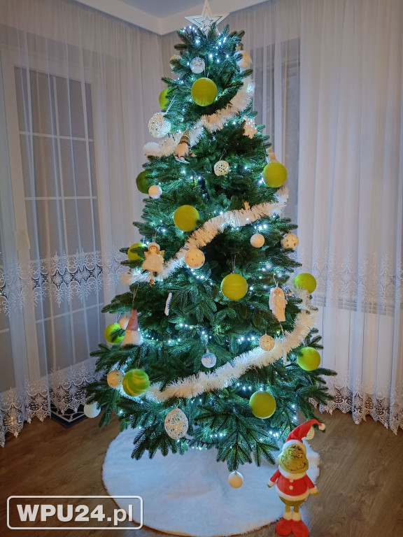 Pułtuskie choinki 2025