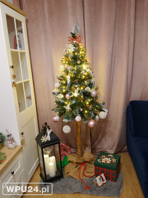 Pułtuskie choinki 2025
