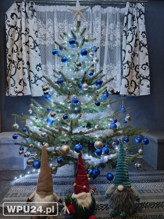 Pułtuskie choinki 2025