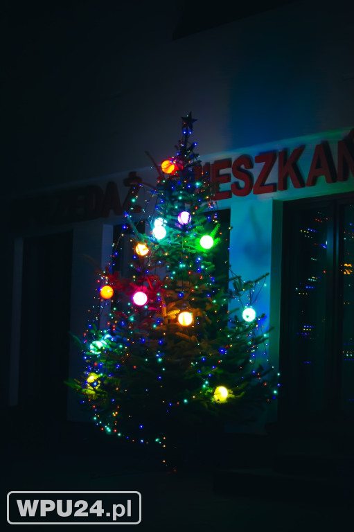 Pułtusk rozświetlony iluminacjami