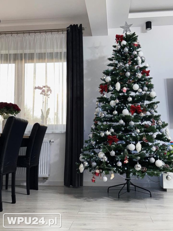 Pułtuskie choinki 2025