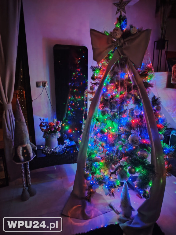 Pułtuskie choinki 2025